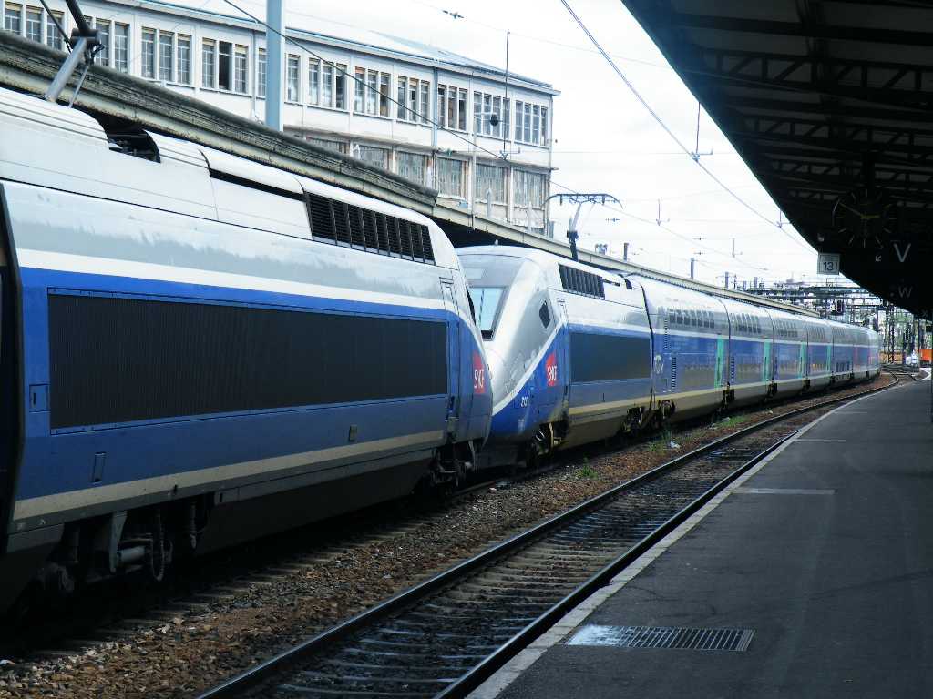 d0140806_178328.jpg