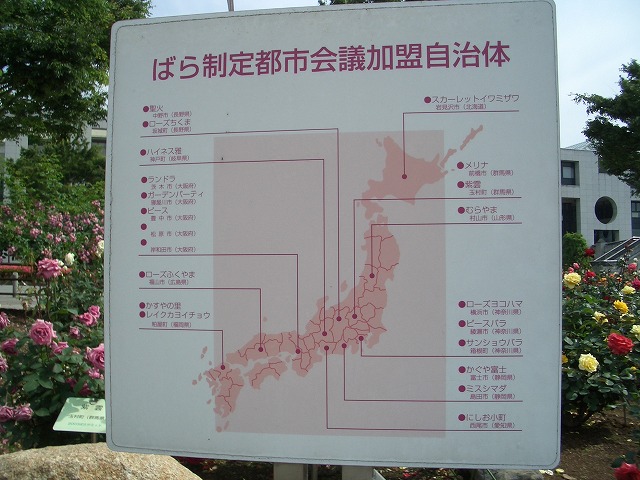 富士市は「バラのまち」です!_f0141310_211521.jpg
