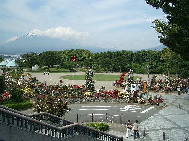 富士市は「バラのまち」です!_f0141310_29643.jpg