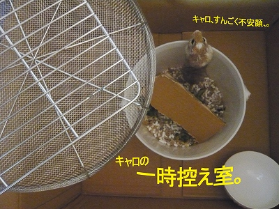 b0181615_241610.jpg