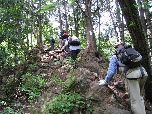 e0117318_1621214.jpg