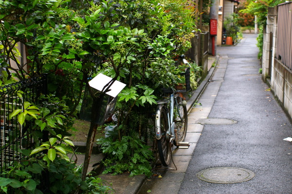 南品川界隈・路地の風景その２_b0053019_2137734.jpg