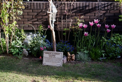 f0170524_1834638.jpg