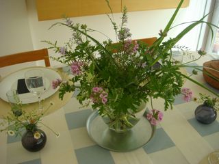 庭の花_e0134337_705579.jpg