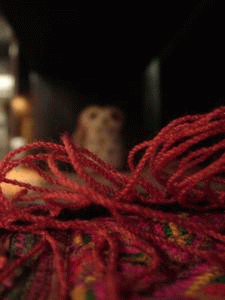 平坦_e0121640_18161813.gif