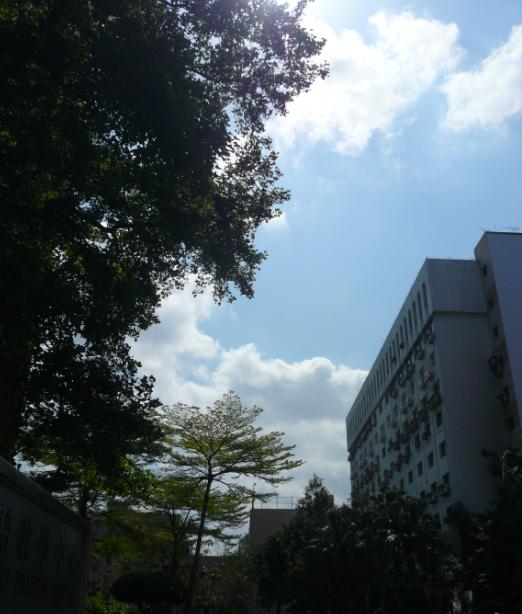 e0064642_18124198.jpg