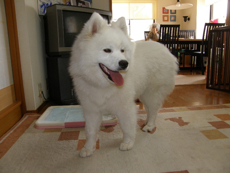 美蘭ちゃん 初めまして_f0128542_19374912.jpg