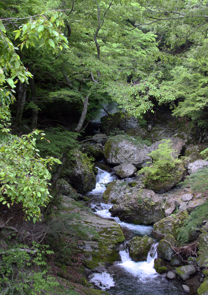 東吉野村　大又川本流　魚止の滝_c0108146_22402762.jpg