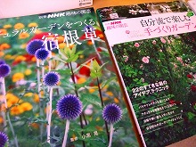 f0207652_9561732.jpg