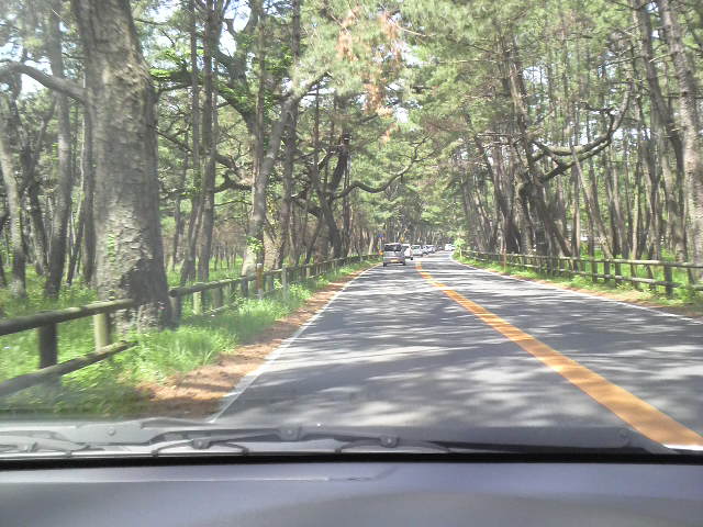 f0150355_8383189.jpg