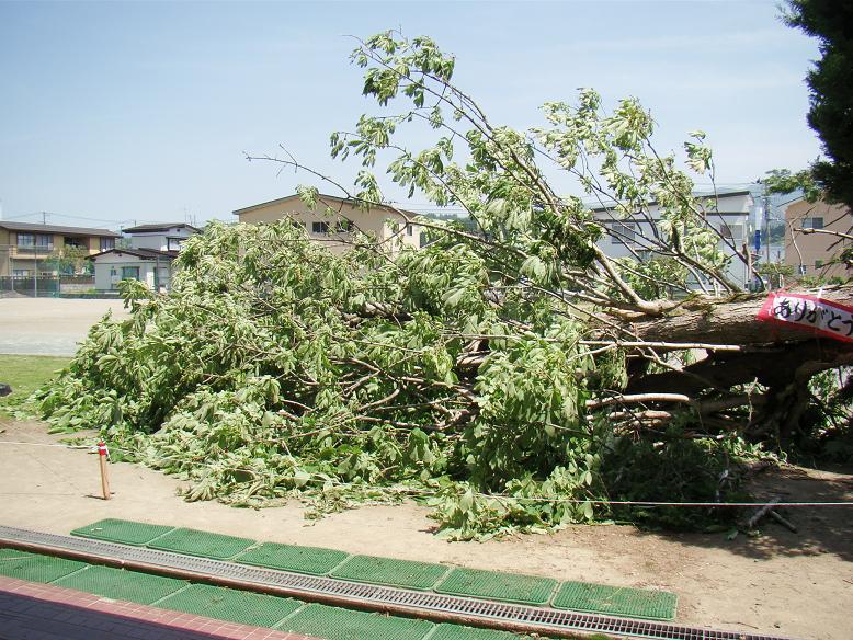c0123156_042723.jpg