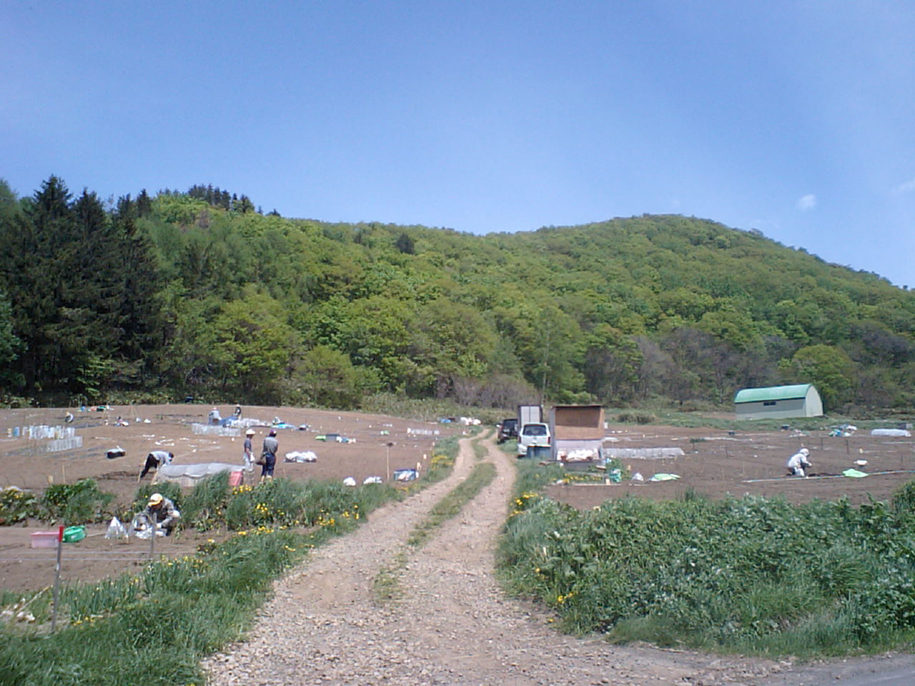 d0098665_1743833.jpg