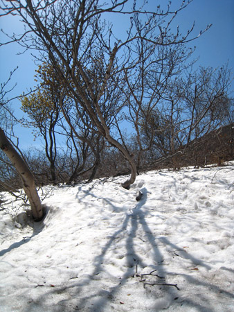 野球〜樽前山〜自転車_f0021369_22927100.jpg