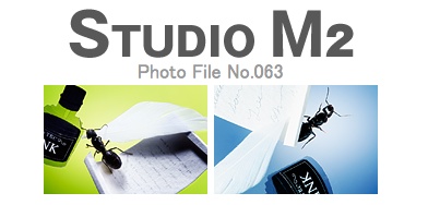 STUDUI M2 Photo File No.063「クロオオアリ」_a0002672_1194987.jpg