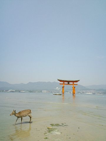 ＧＷに広島への旅　その３☆　宮島　厳島神社へ_b0100973_18314961.jpg