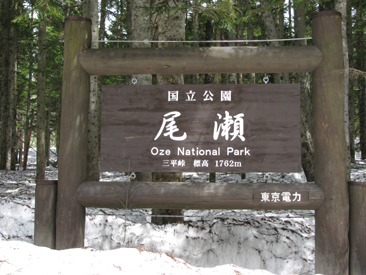 f0186275_8133094.jpg
