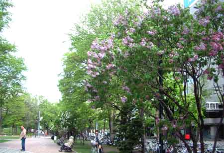 f0083977_23132382.jpg