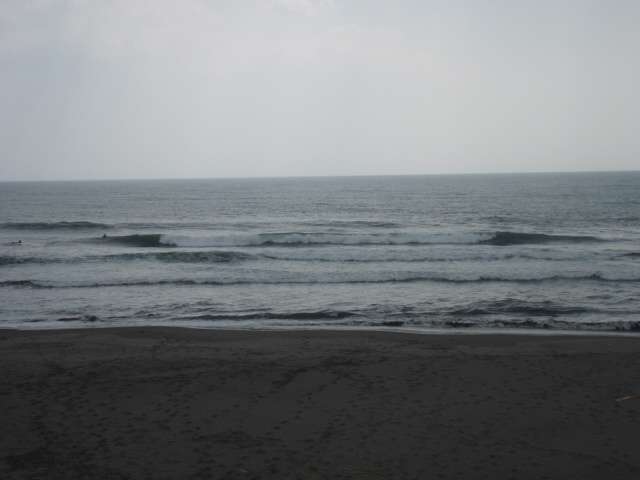 d0079579_08955.jpg