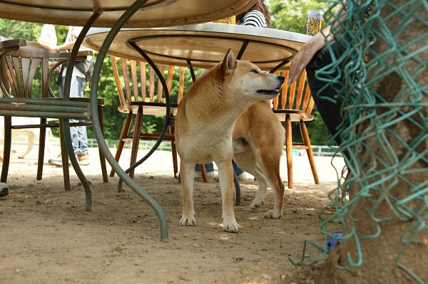 ストーリーファーム最終日 03_c0109780_21144068.jpg