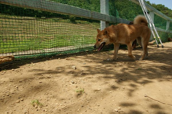 ストーリーファーム最終日 03_c0109780_21144816.jpg