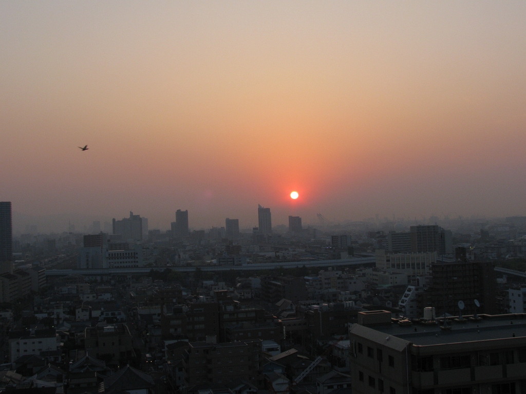 e0024081_213805.jpg