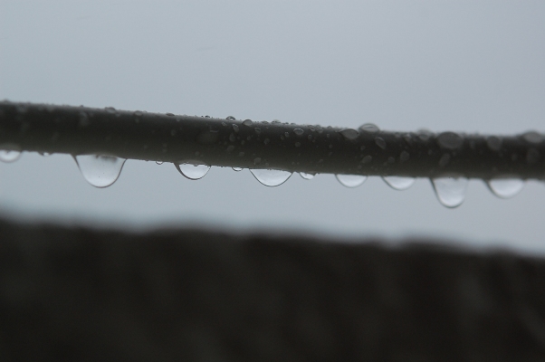b0143983_9544981.jpg