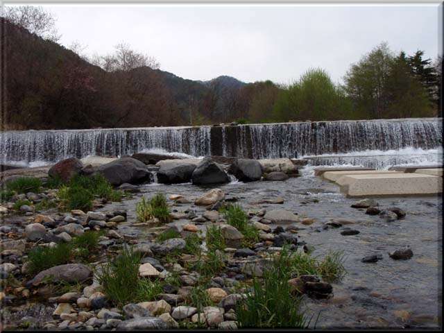 a0043395_203197.jpg