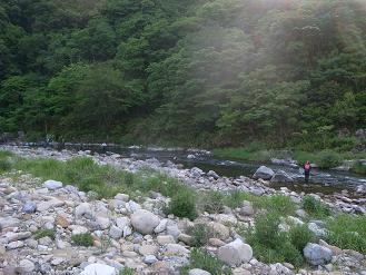 いよいよ鮎漁の季節。_d0087595_8221876.jpg