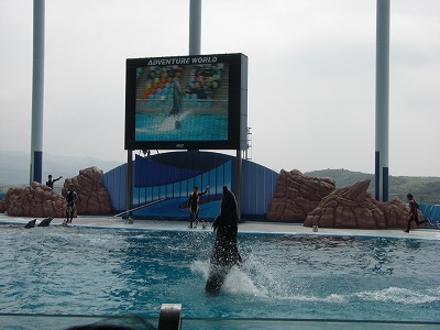 c0125501_1645174.jpg