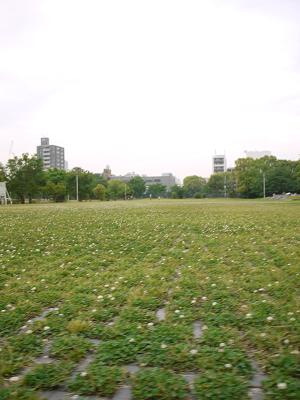 c0188904_2313246.jpg