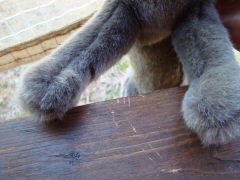 a0093509_1114929.jpg