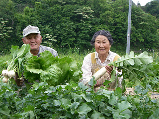 東和の特産品と減農薬野菜買ってね_b0168412_22574927.jpg