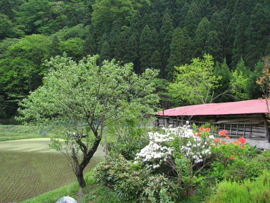 佐々里の里_e0048413_22525179.jpg