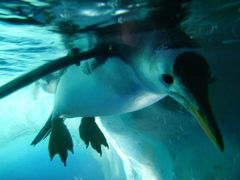 名古屋港水族館_f0201214_2274281.jpg