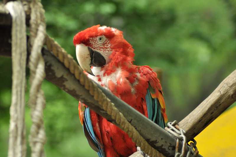 久しぶり、多摩動物園_b0181516_22413088.jpg