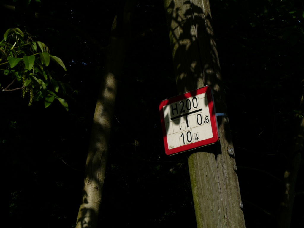 b0148617_0293518.jpg