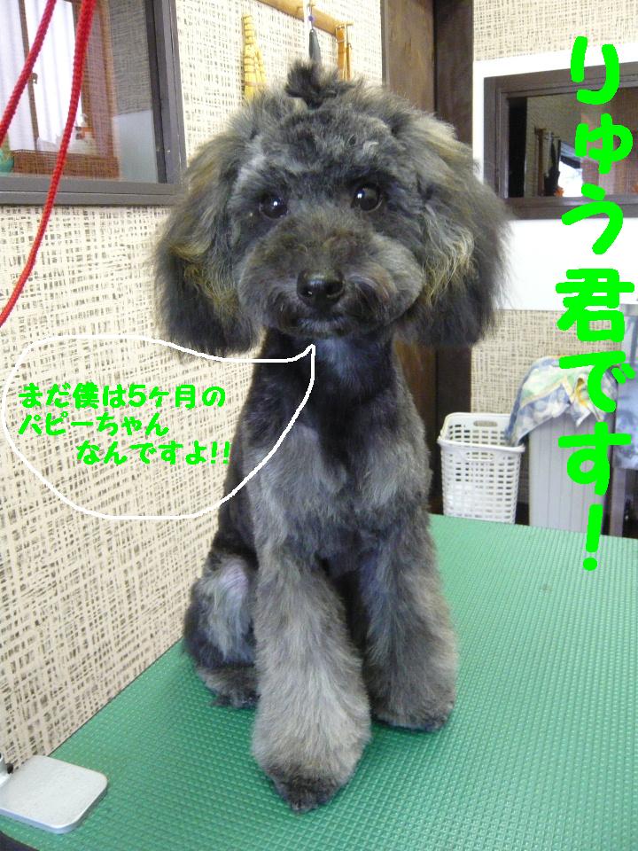 疲れたぁ～～＆特等席＆今回もスト！！_b0130018_14163892.jpg