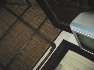 d0038319_1148835.gif