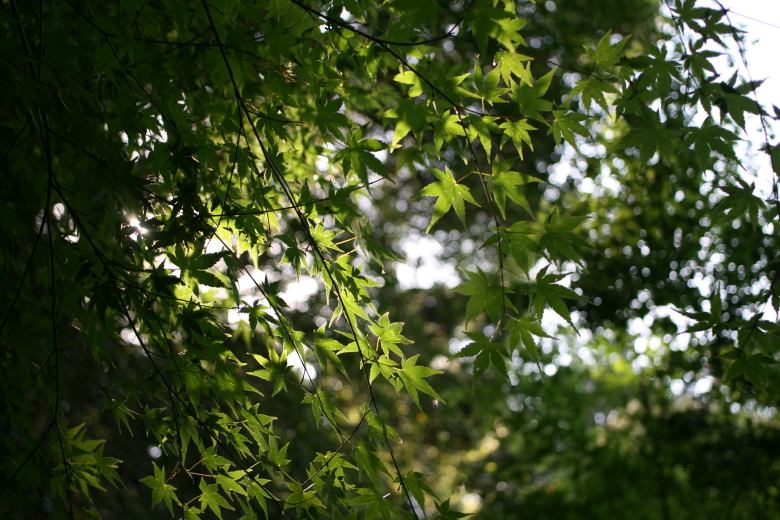 b0132924_21582166.jpg