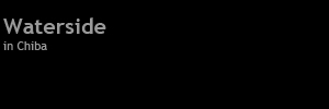 c0126428_2153441.jpg
