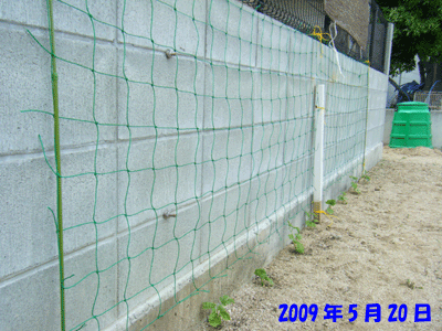f0008935_1593147.gif