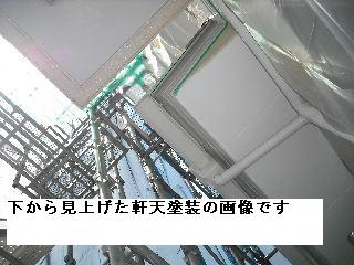 屋根塗装4日目_f0031037_2055545.jpg