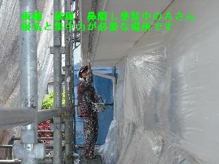 屋根塗装4日目_f0031037_206623.jpg