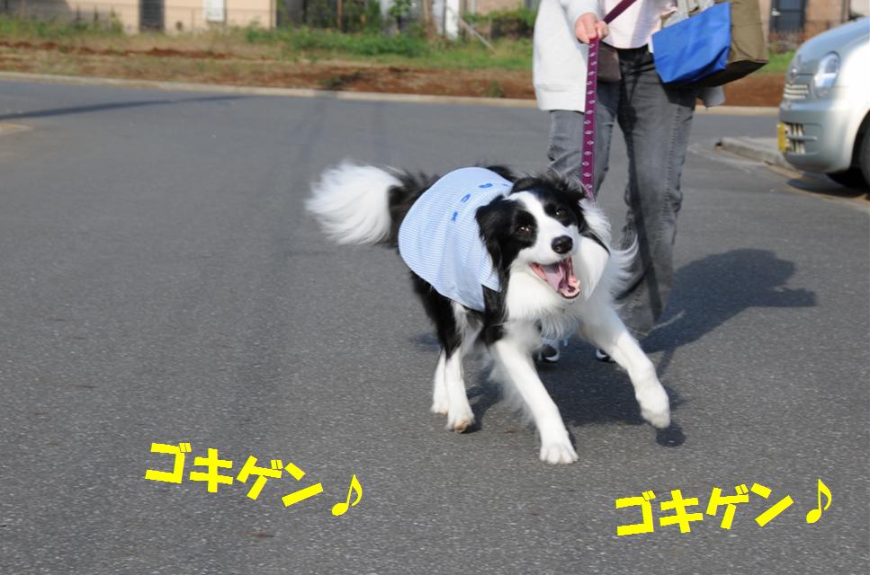 c0147241_045046.jpg