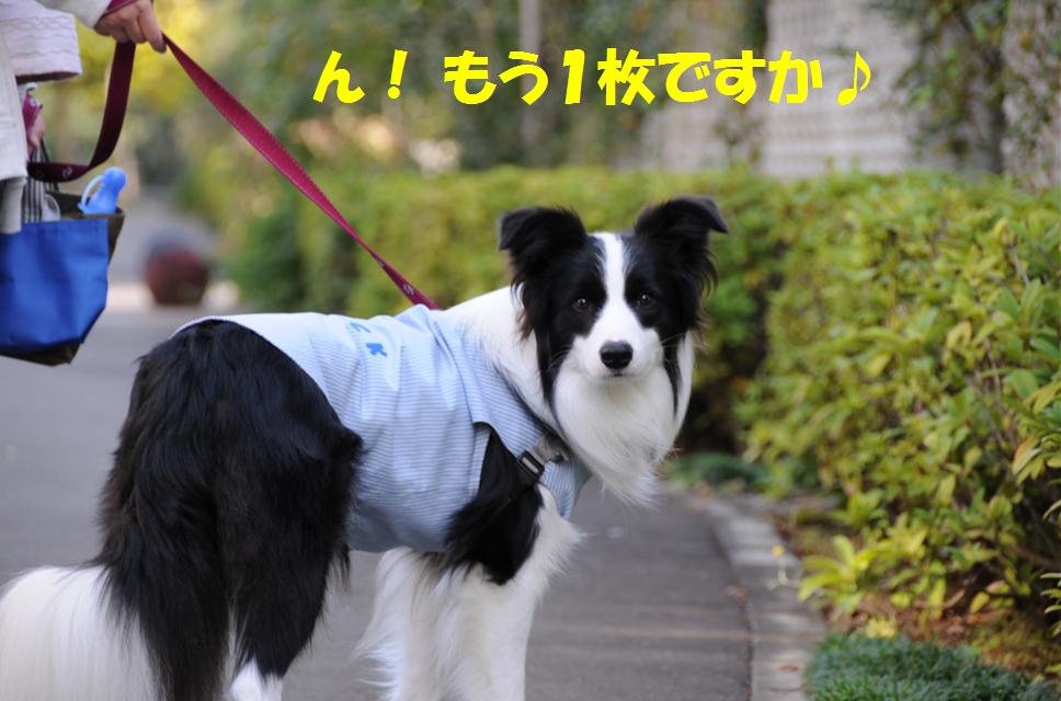 c0147241_0451932.jpg