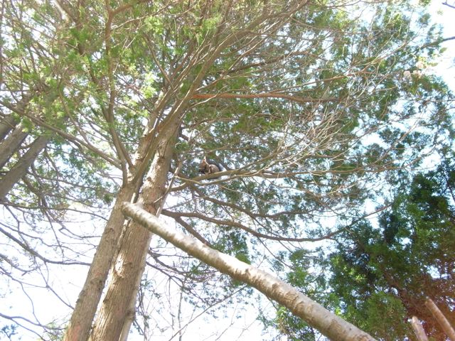 c0184643_1032539.jpg