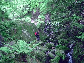 井原山（洗谷コース）へ_e0164643_10223143.jpg