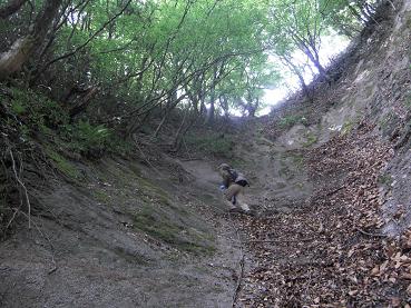 e0164643_10411721.jpg