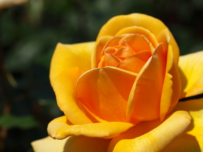 f0203643_6201390.jpg