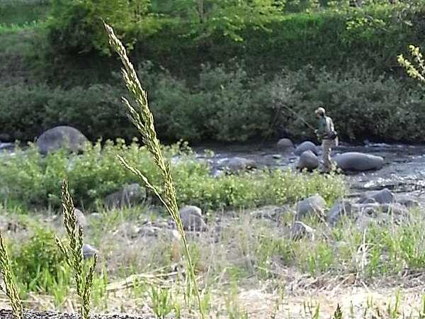 b0165444_19385348.jpg